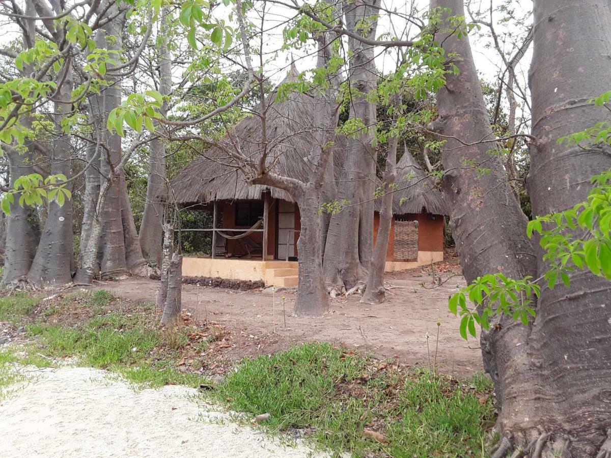 African Ecolodge Angurman Bruce Exterior foto